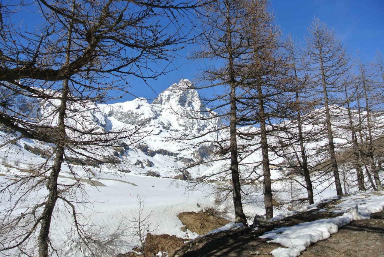President Palace - Breuil Cervinia -Appartamento 6 - Cir 0634 Eksteriør bilde